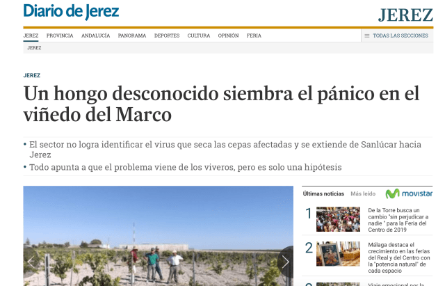 Captura de pantalla 2018-08-19 a las 16.41.26